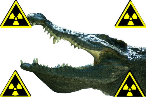 Fil:Krokodil.jpg