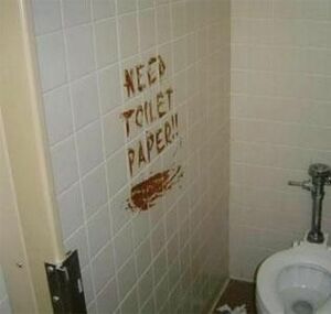 Need toilet paper.jpg