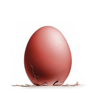 Egg solution.jpg