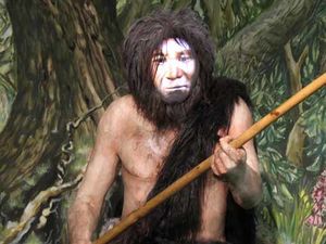Neandertaler.jpg