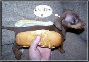 Hot dog2.jpg